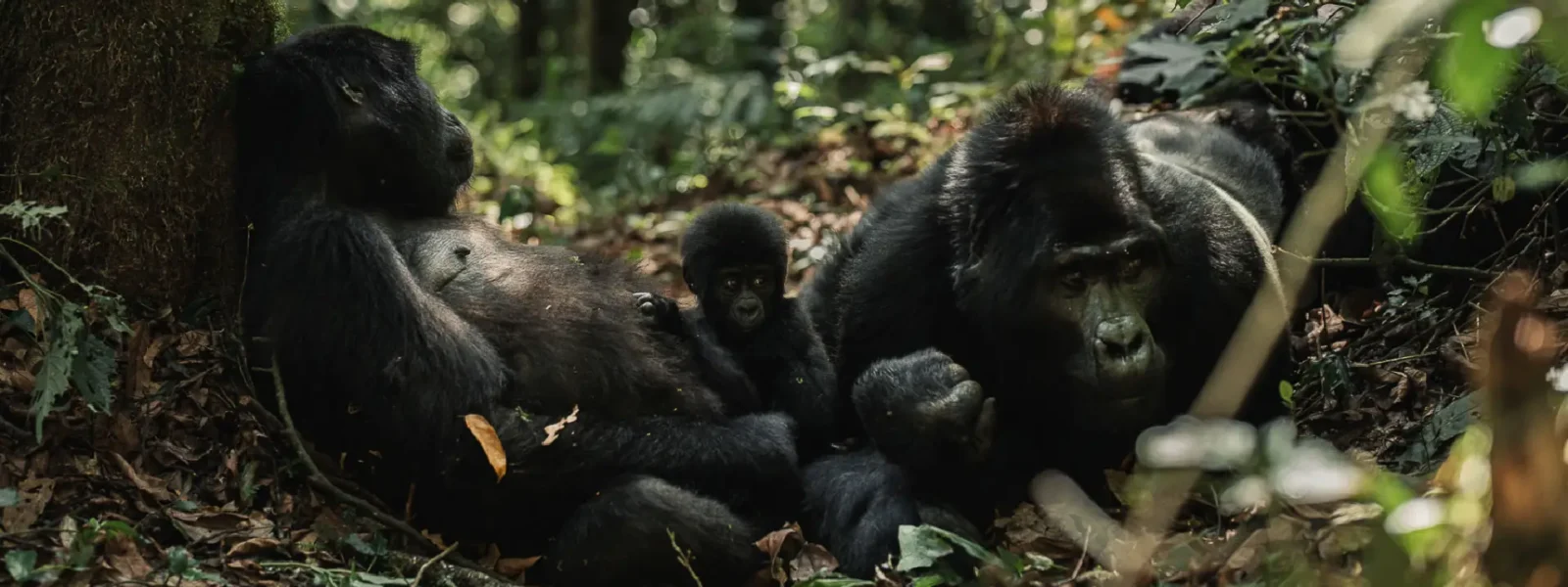 Rwanda