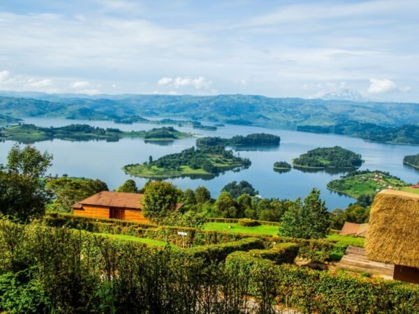 4-Day Fly-in Gorilla Trekking & Lake Bunyonyi Relaxation