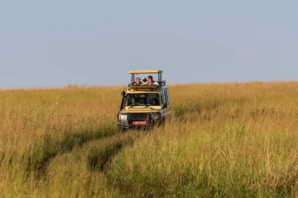 12-Day Signature East African Luxury Primate & Wildlife Safari