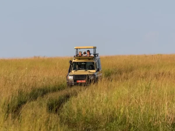 12-Day Signature East African Luxury Primate & Wildlife Safari