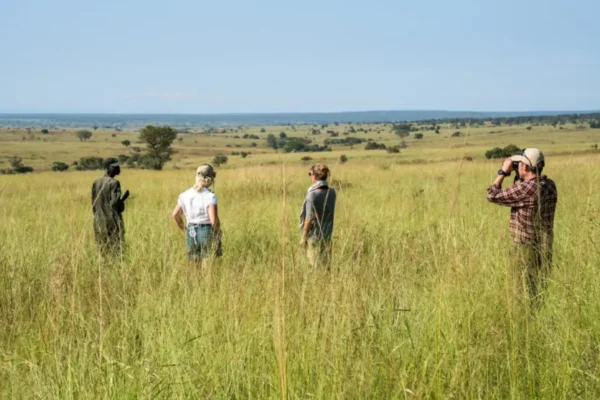 10-Day Highlights of Uganda (Gorillas, Chimps, & Savannah Wildlife)