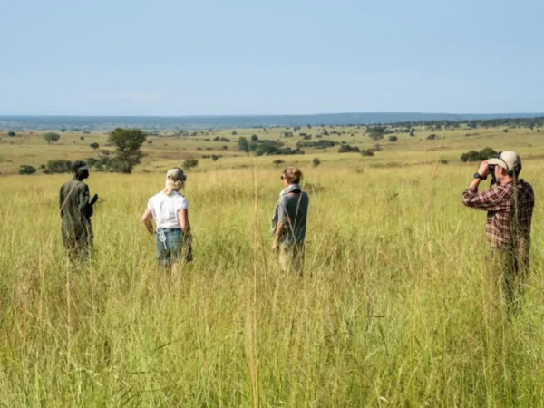 10-Day Highlights of Uganda (Gorillas, Chimps, & Savannah Wildlife)