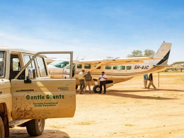 3-Day Ultra-Luxury Rwanda Gorilla Express